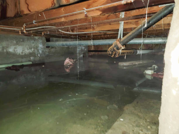  Cairo, GA Water damage restoration Pros
