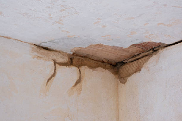 Best Flooded house restoration  in Cairo, GA