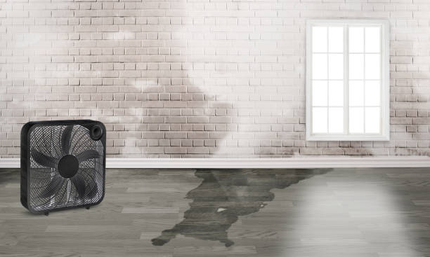 Best Water damage restoration services  in Cairo, GA