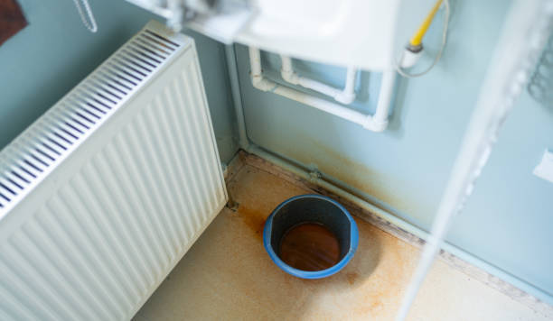 Best Water damage restoration experts  in Cairo, GA