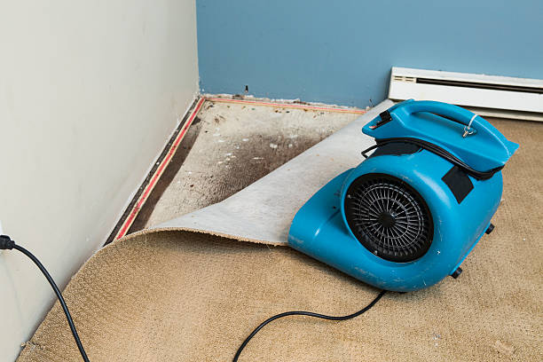  Cairo, GA Water damage restoration Pros